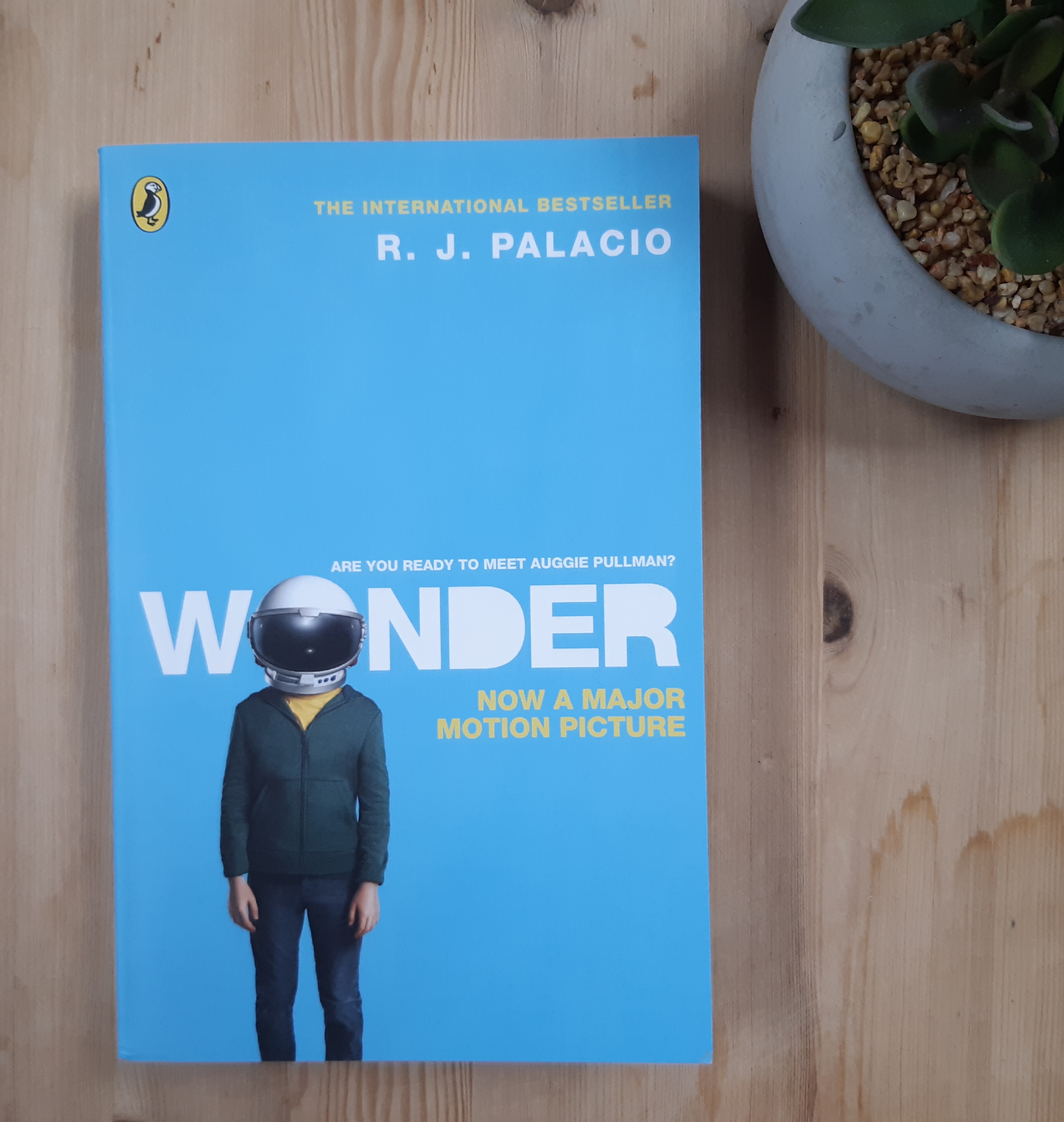 Wonder by R J Palacio (pb) – The Snug Bookshop and Cafe